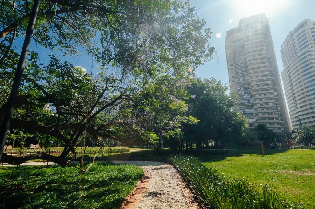 Arvores do Parque Augusta Prefeito Bruno Covas e o sol brilhando atrás dos prédios
