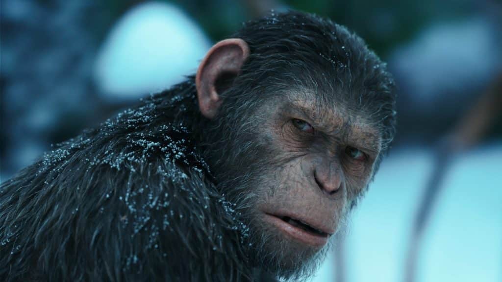 “Planeta dos Macacos: O Reinado” conquista o público e lidera bilheterias no Brasil
