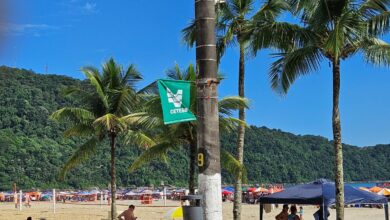 Praias do litoral de São Paulo: saiba quais estão próprias para banho durante o surto de virose