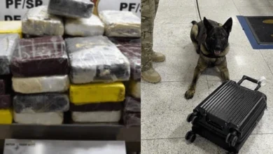 PF apreende 80 kg de drogas no Aeroporto de Guarulhos e prende dois suspeitos