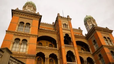 Casos de Influenza A e vírus respiratório seguem em queda no Brasil, aponta Fiocruz