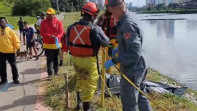 Bombeiros encontram no Rio Pinheiros corpo de idosa arrastada por enxurrada em São Paulo