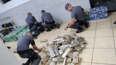 Polícia Militar apreende mais de uma tonelada de drogas em chácara no interior de SP