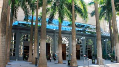 Shopping Pátio Higienópolis promove evento gratuito de saúde e bem-estar