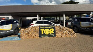 PM Rodoviária apreende 673 quilos de maconha na SP-310, no interior de São Paulo