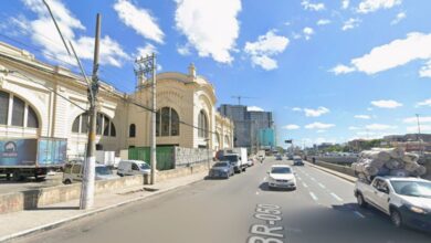 Prefeitura de São Paulo inicia corredor verde com plantio de centenas de árvores no centro da capital