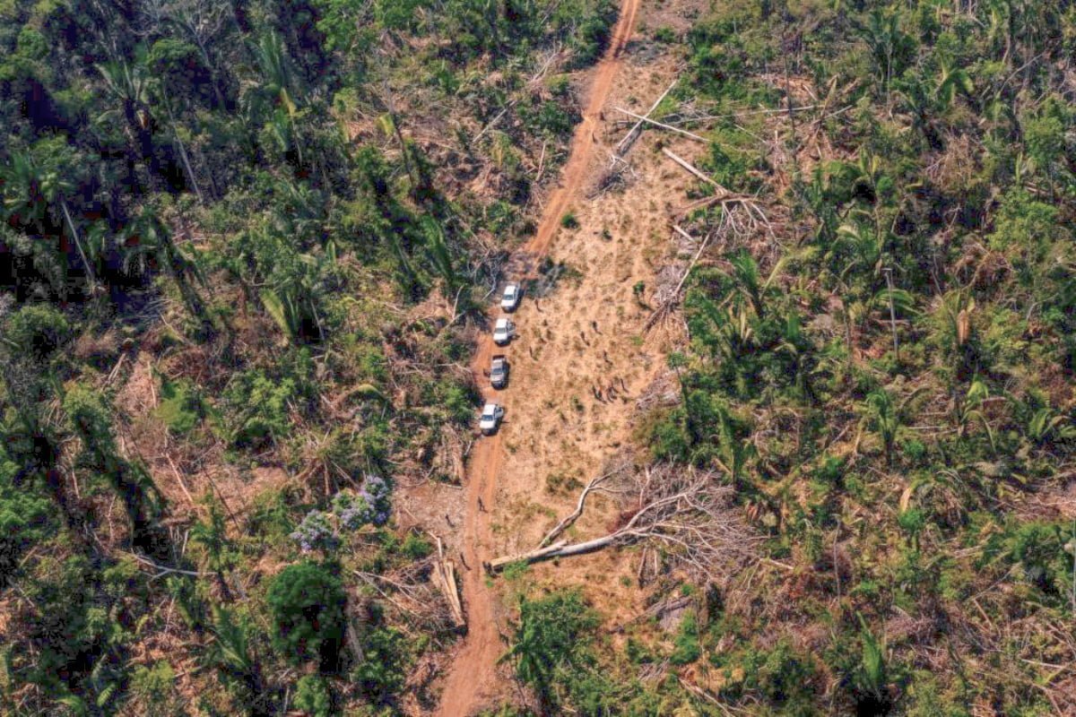 Desmatamento Na Amazônia é O Maior Em Agosto Dos últimos Dez Anos Sp Agora 1497