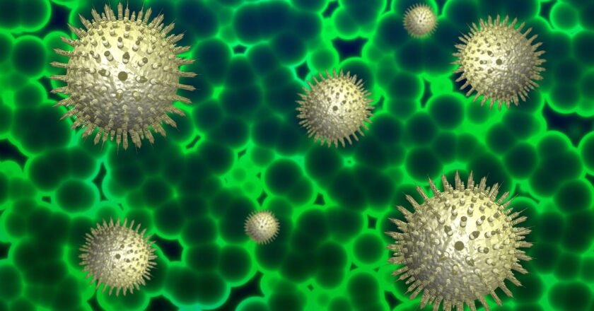 Ilustração mostra vírus sobre um tecido com tons verdes