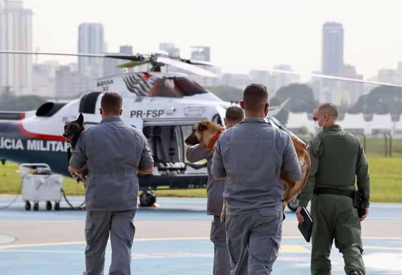 Bombeiros caminhando na direção do helicóptero. Um deles carrega no colo um cão de faro, que será usado nas buscas. 