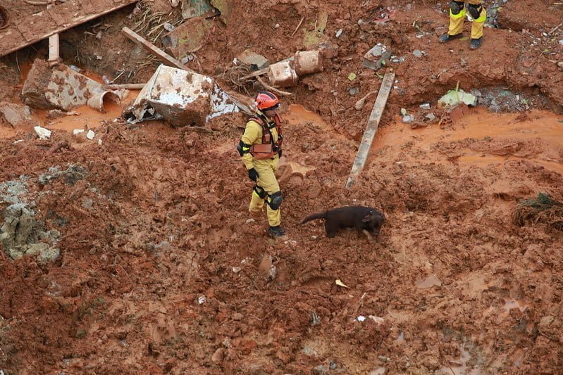 Bombeiro acompanha cão farejador no meio da lama.