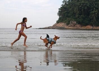 Criança corre atrás de cão em praia de Santos. Ao fundo, o mar e parte de uma montanha com vegetação verde.