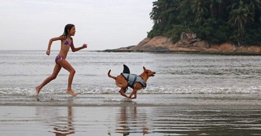 Criança corre atrás de cão em praia de Santos. Ao fundo, o mar e parte de uma montanha com vegetação verde.