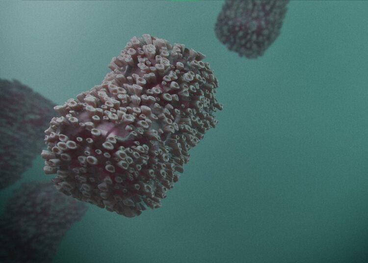Imagem de célula do vírus da varíola dos macacos produzida em 3D.