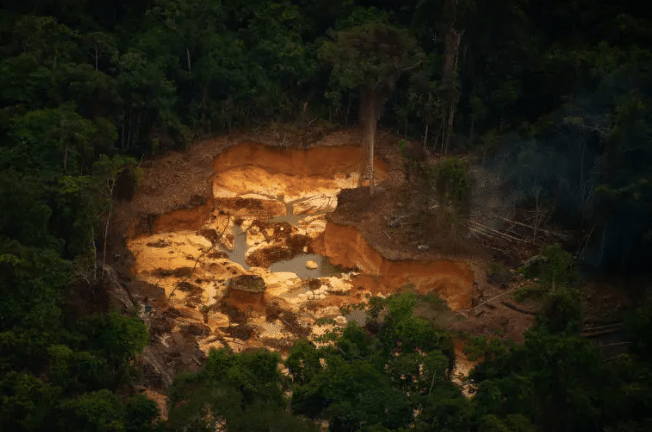 garimpo yanomami