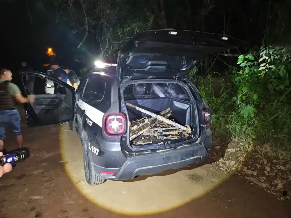 Metralhadoras furtadas do Exército são encontradas em área de mata em São Roque