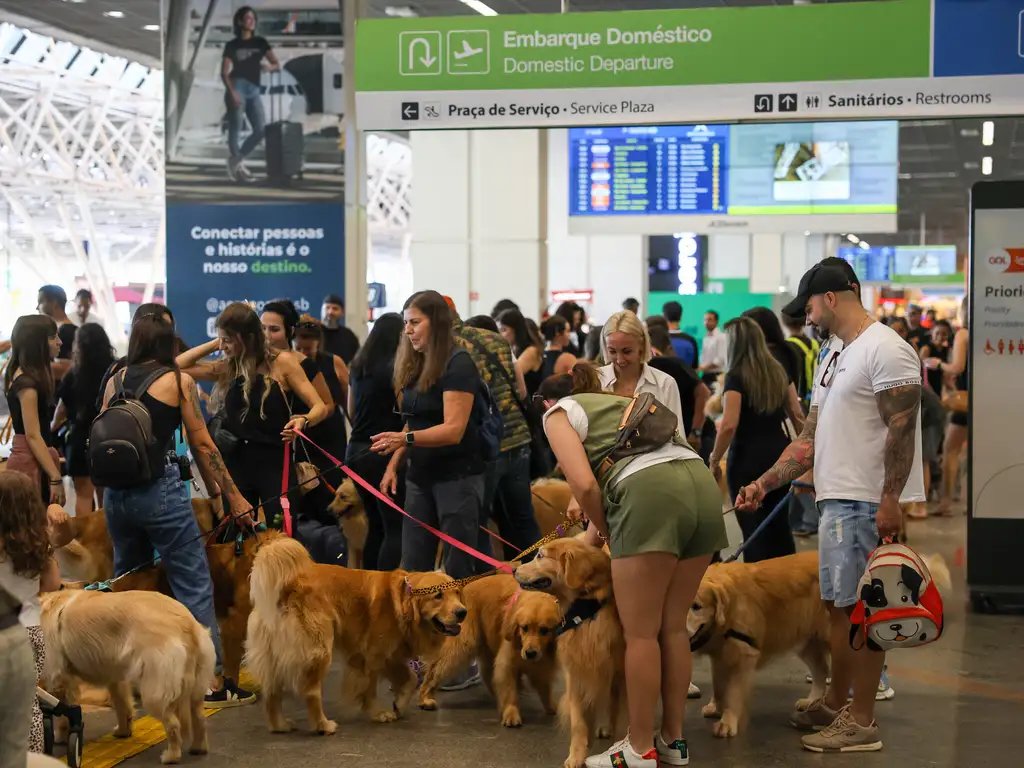 Aeroportos enfrentam protestos após morte do cão Joca
