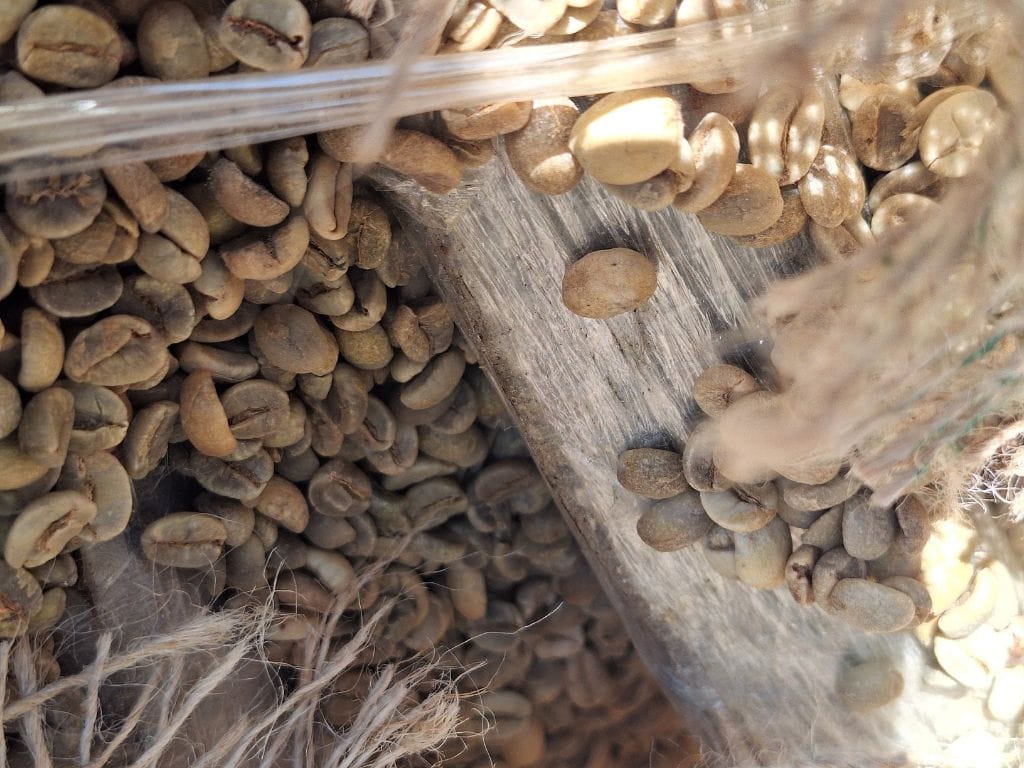 Receita Federal apreende 832 kg de cocaína escondidos em carga de café no Porto de Santos