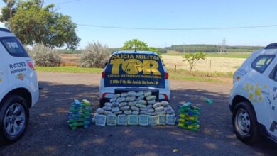 Casal é preso com quase 100 kg de maconha e skunk em Olímpia