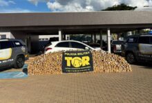 PM Rodoviária apreende 673 quilos de maconha na SP-310, no interior de São Paulo