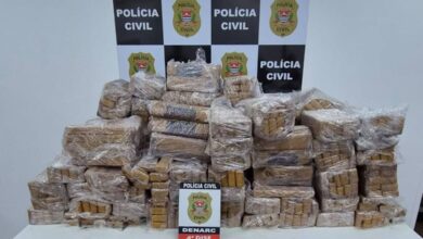 Polícia apreende mais de 750 kg de maconha escondidos em caminhão na Zona Sul de SP